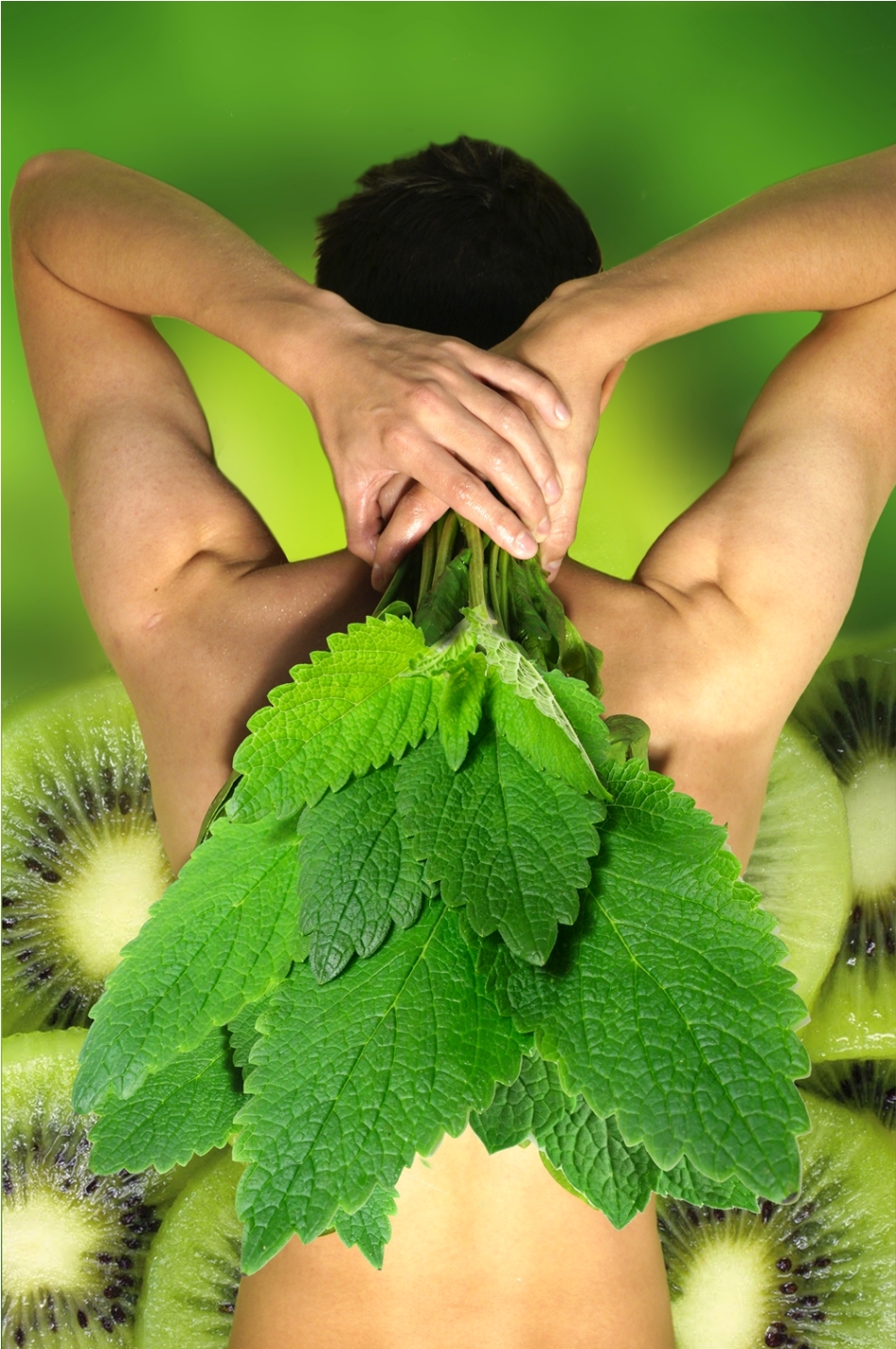 kiwi-menta